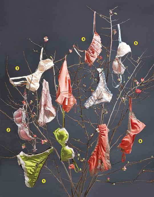 I'm having a cash bar, dollar dance, cash gift only, camo themed wedding in a park