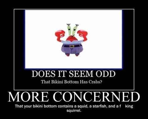 I'm having a cash bar, dollar dance, cash gift only, camo themed wedding in a park