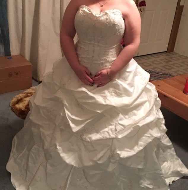 Size 12 brides?