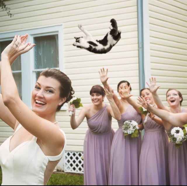 Puppy bouquets! ABORT MISSION