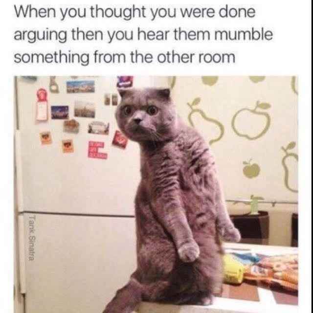 *Appreciation Post for MNA and all those being called rude*