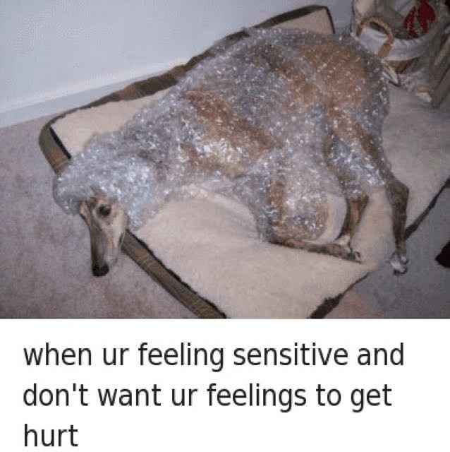 *Appreciation Post for MNA and all those being called rude*