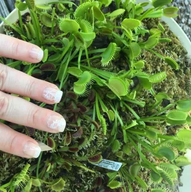 Probably not worth it buuuut....