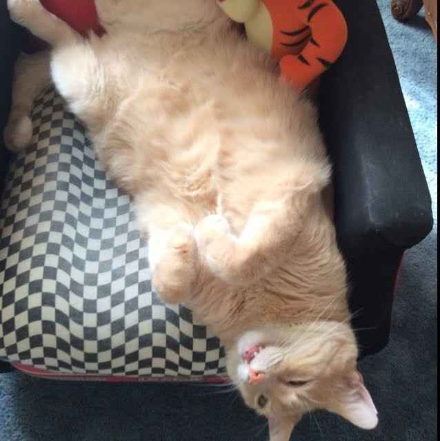 Fun Reminders on this Crazy Tuesday