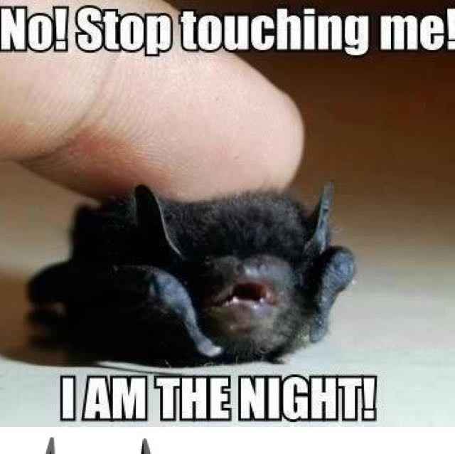 Getting married today?  PSA for you!!