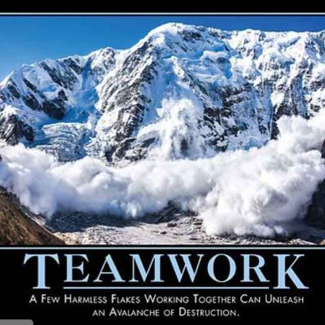 Alcohol vs No Alcohol