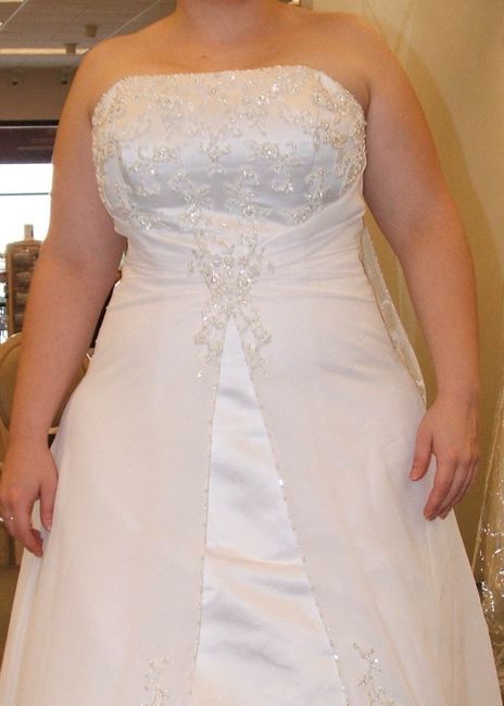 I said yes to the dress! Opinions please