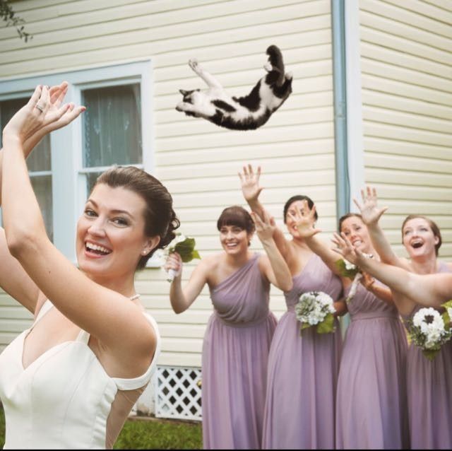 Puppy bouquets! ABORT MISSION