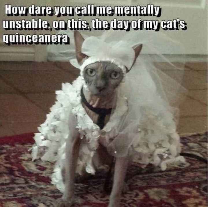 Post the most recent meme you've got