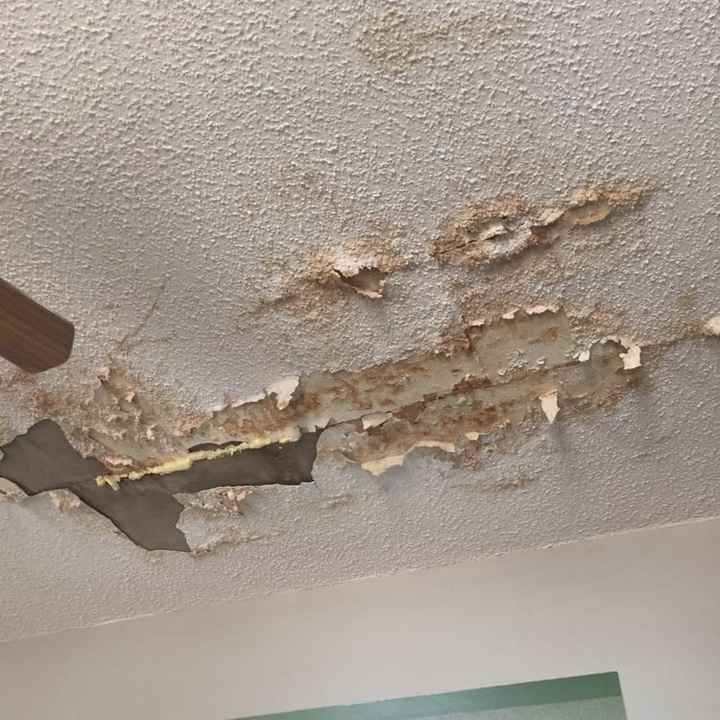 Whirlwind of so many good things.