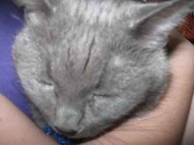 Following Unquie lead a pic post