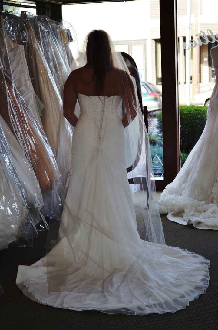 Anyone have there wedding dress picked out? Pics?