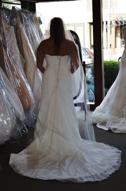 Anyone have there wedding dress picked out? Pics?