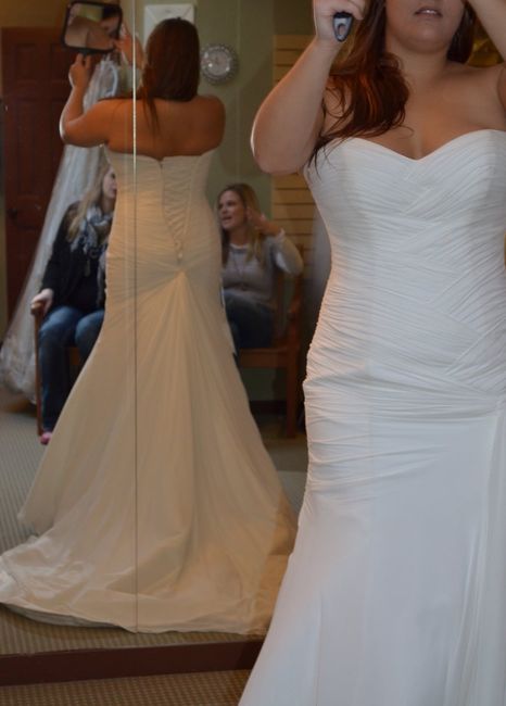 Anyone have there wedding dress picked out? Pics?