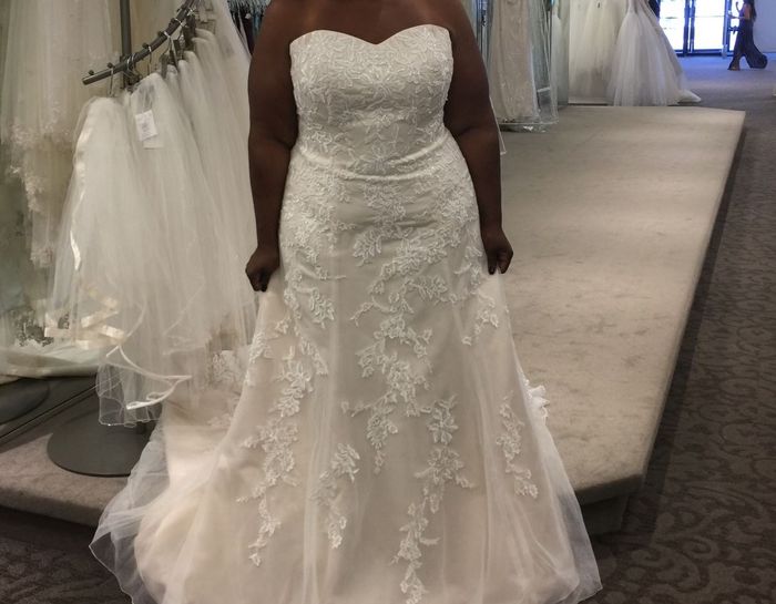 Dress price average and such...stress...