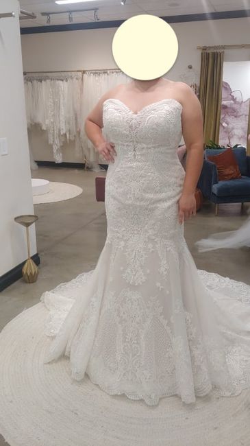What Kind of Long Veil? 2