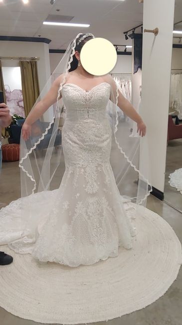 What Kind of Long Veil? 3