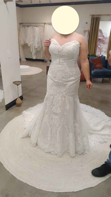 What Kind of Long Veil? - 1