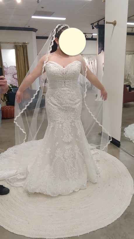 What Kind of Long Veil? - 3