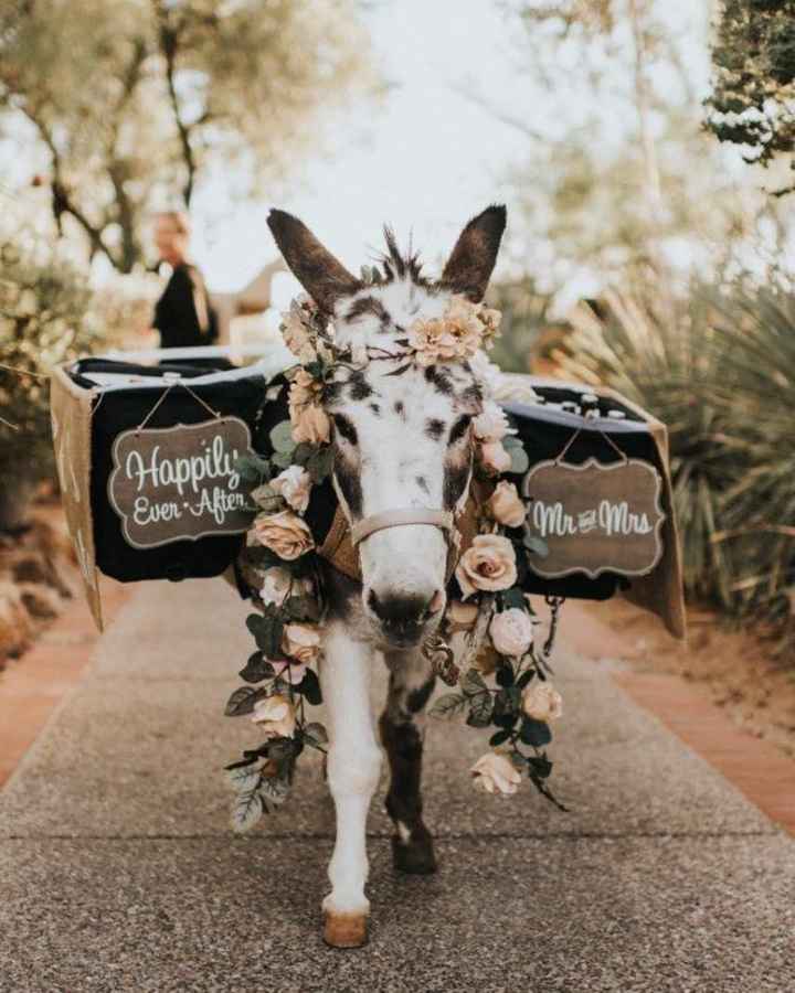 Lawn games - yay or nay? - 1