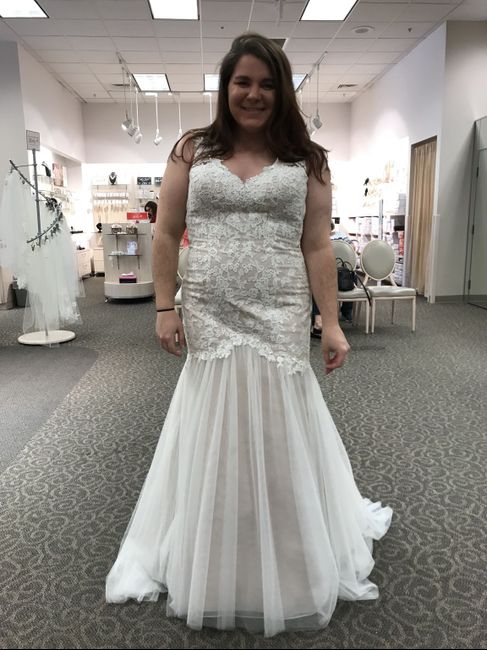 My Dress Came In!!! - Please share yours 😆 - 1