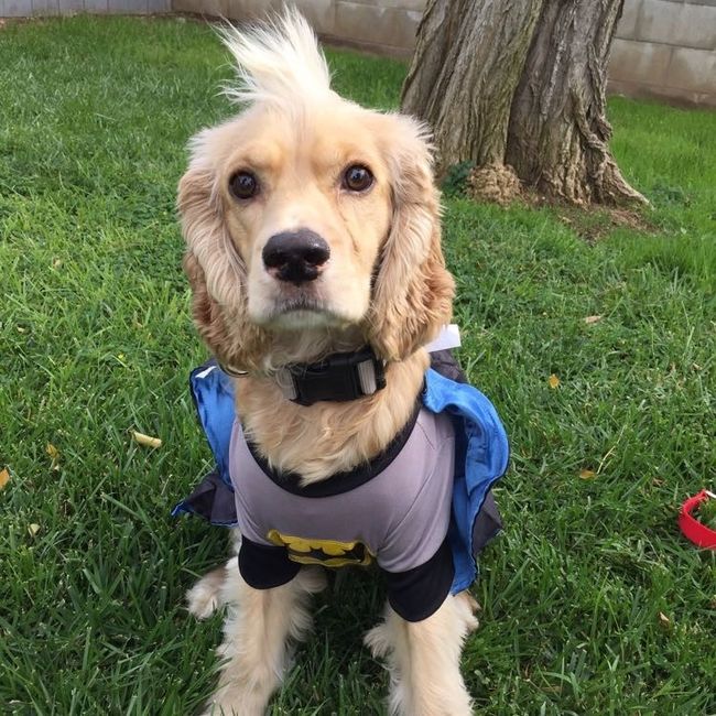 NWR- let me see your fur babies, awake and scared