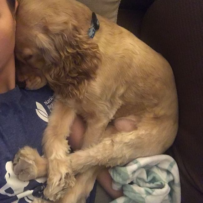 NWR- let me see your fur babies, awake and scared