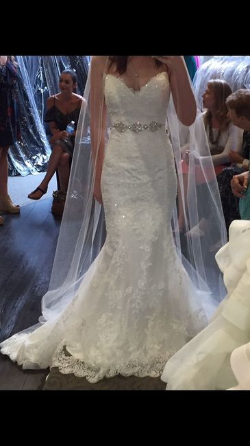 Dress alteration question