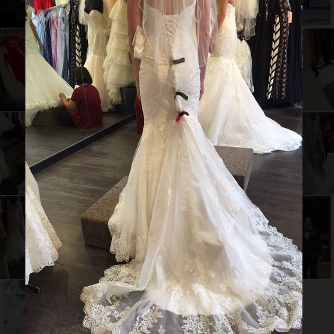 Dress alteration question