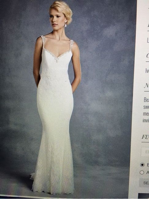 Wedding dress nightmares