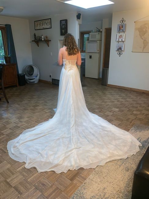 Wedding Veil Help - 1