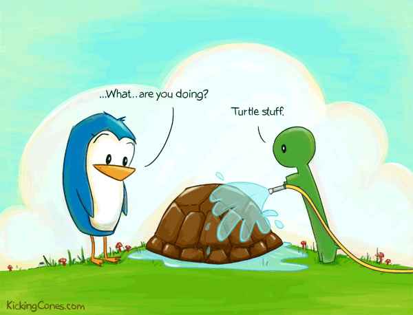 Penguin and Turtle