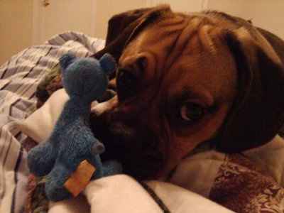 *NWR* Show me your pets/animals! *PICS*