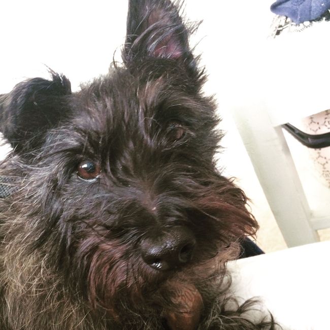 Show off your fur babies!
