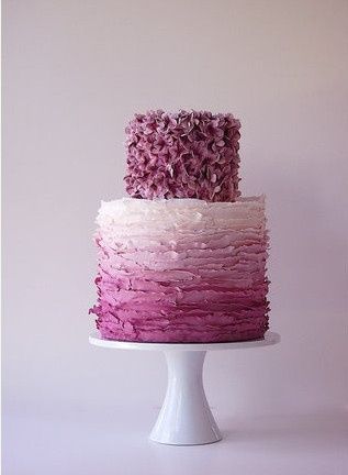 CAKE CAKE CAKE