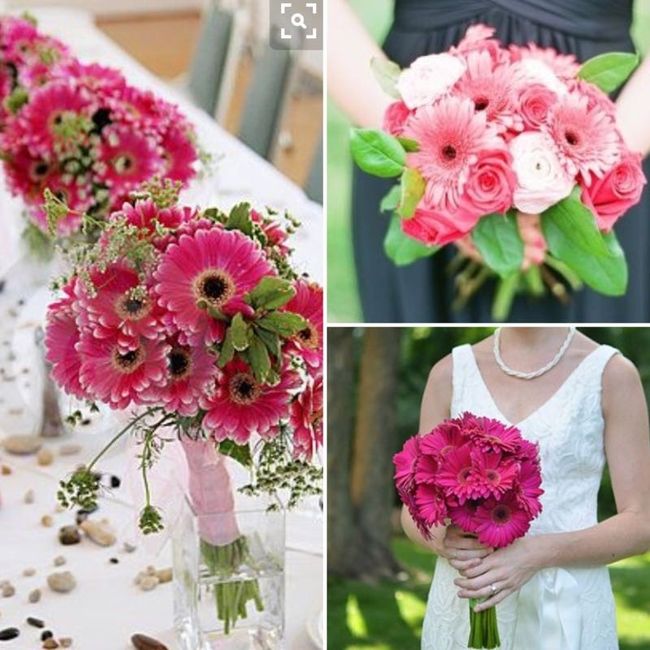 Ladies, What are your favorite flowers?