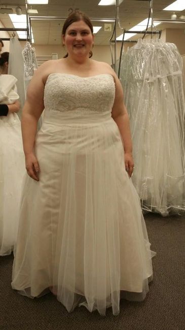 I can't stop looking at this dress