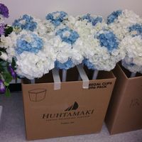 Fake or Real Flowers...?