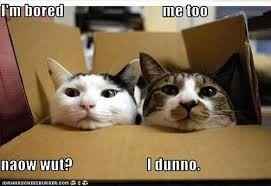 Oh my God I'm so bored
