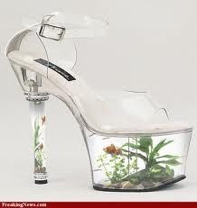 Would this be a wierd shoe?