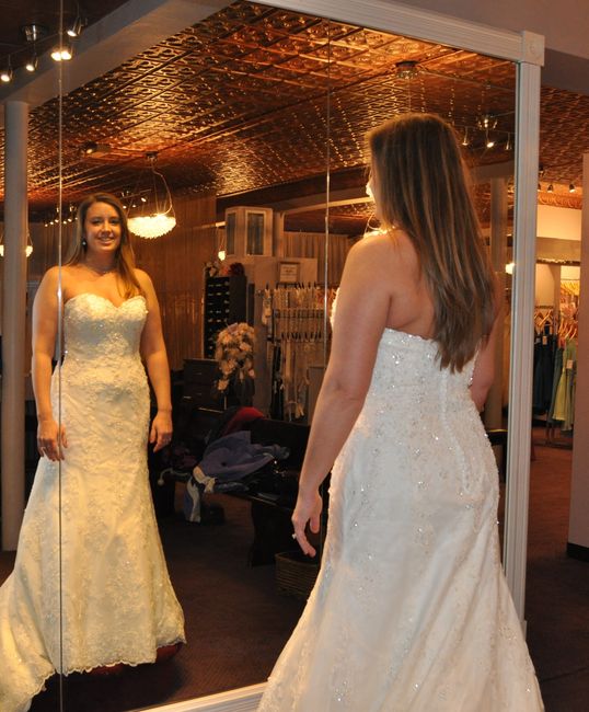 My dress is in!!!! Again...And it's correct this time :0)