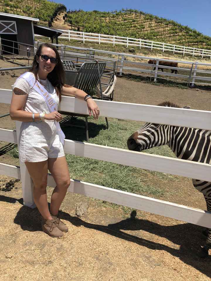 What are you wearing to the rehearsal dinner? - 1