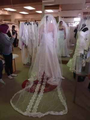 Veils