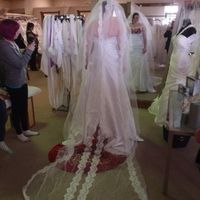 Veils