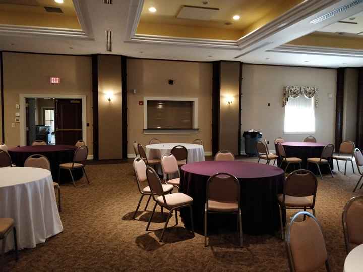 Help me decorate my reception! :) - 5