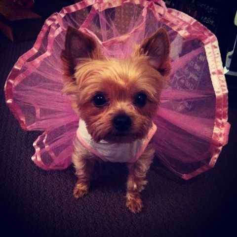 Meet my baby !