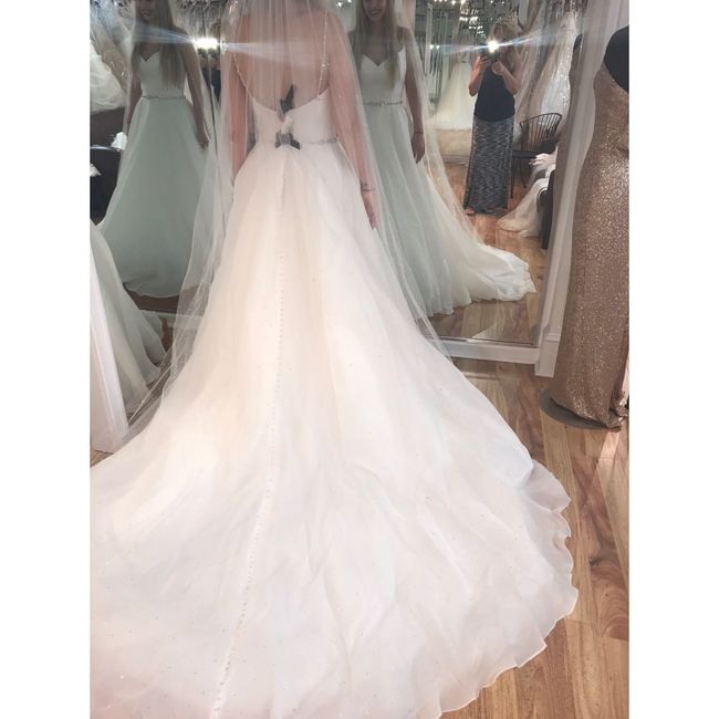 My Dress Story + Veil Advice? - 3