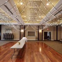 Help me decorate my reception! :) - 2