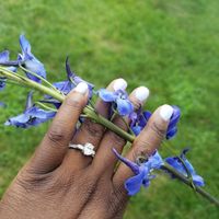 Carat, cut, clarity, or color? Which "C" mattered most to you? 💎 - 1