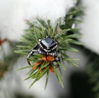 Got the Engagement Pics!!!